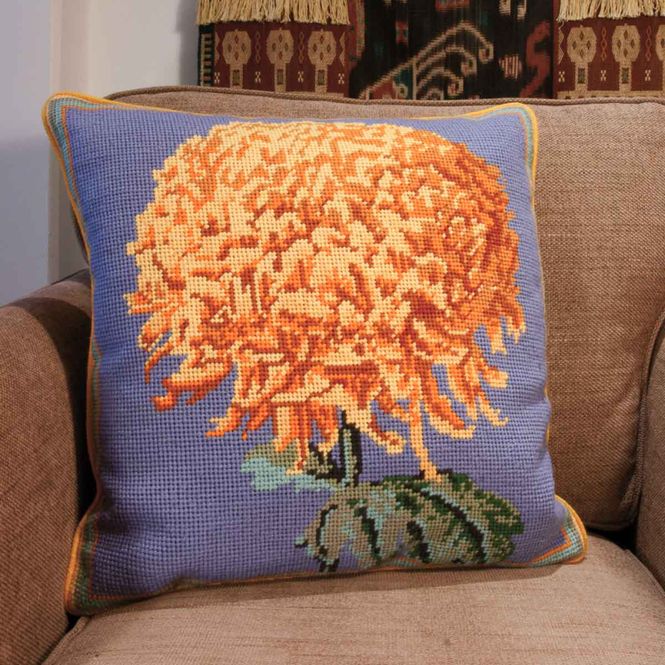 Hovedbilde Marigold