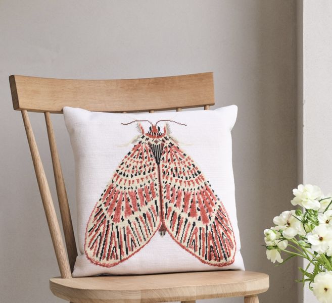 Footman Moth